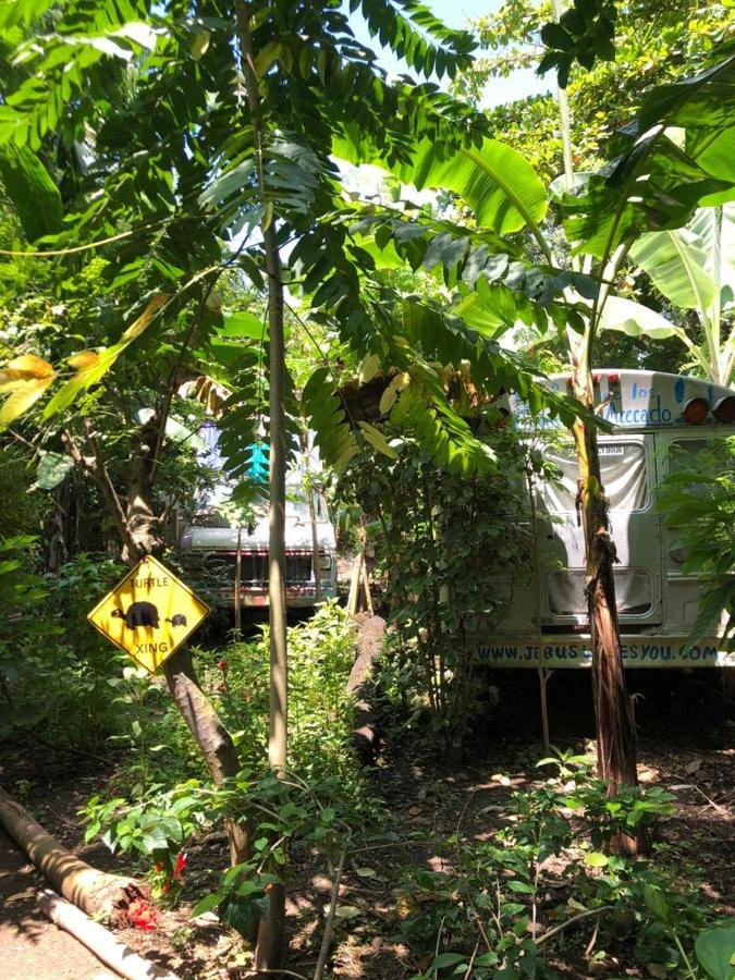 Rainbow Caravan Hostel Las Pilas Exterior foto