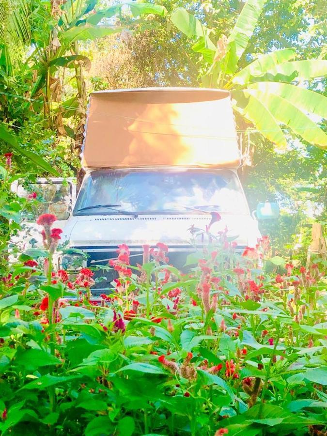 Rainbow Caravan Hostel Las Pilas Exterior foto